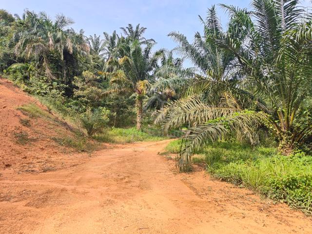 Tanah Pertanian Ampangan Seremban untuk Dijual 1