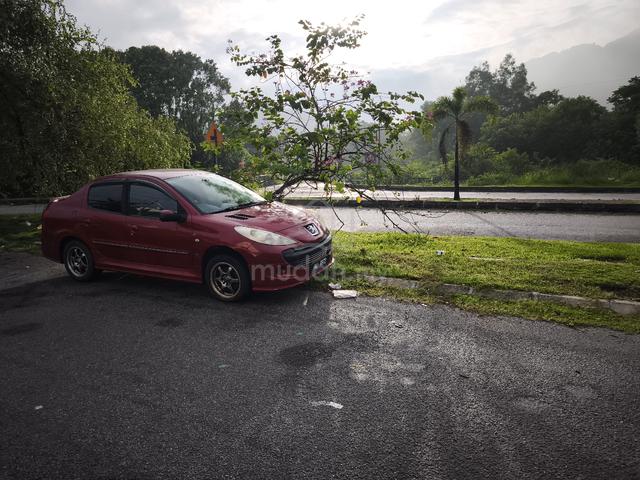 2011 Peugeot 207 1.6 T33 (A) - 2