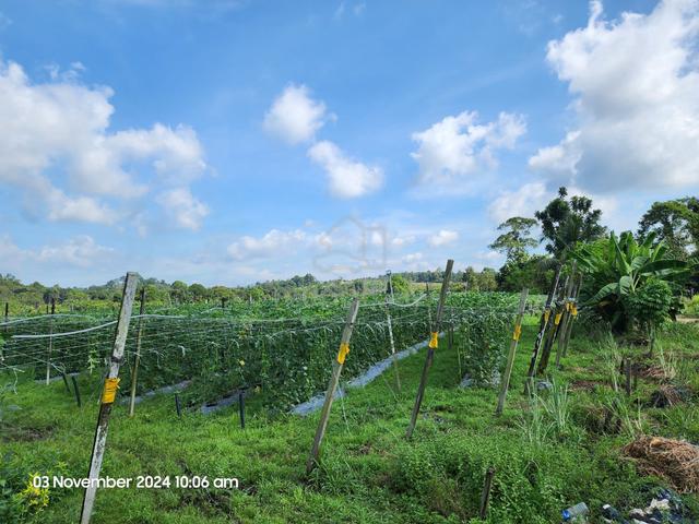 Tanah pertanian untuk dijual – Batu 16, Jalan Johor-Kota Tinggi, Johor 1