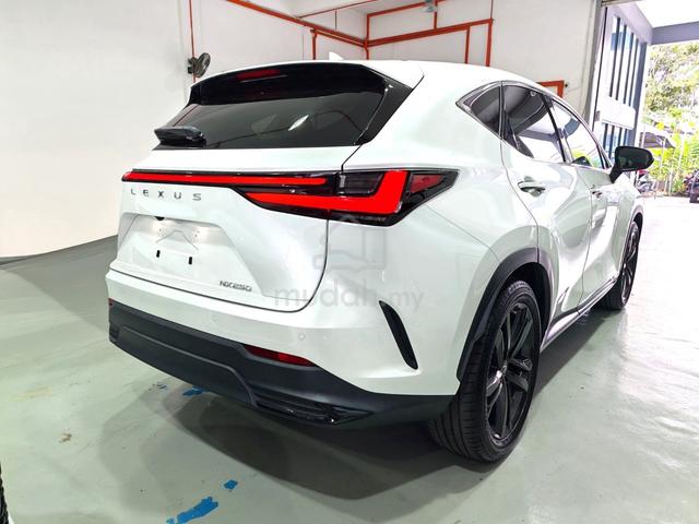 2022 Lexus NX250 2.5 LUXURY (A) - 3