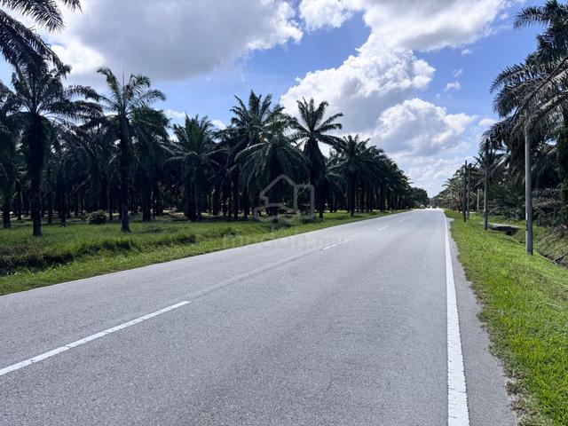 Freehold Agriculture Land For Sale At Langkap,Teluk Intan,Perak 1