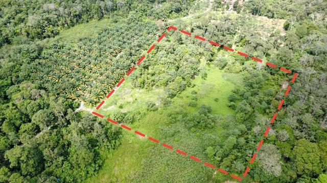 FREEHOLD Tanah Pertanian Untuk Dijual 1