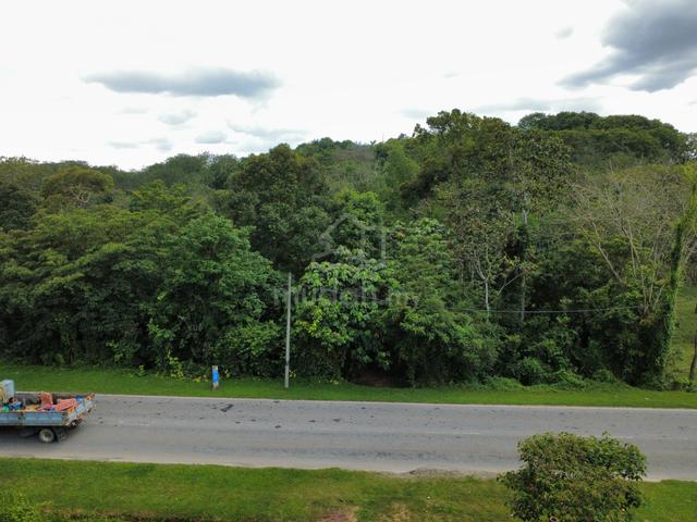 Kuala Sawah Agriculture Land (Industrial Zone) 1