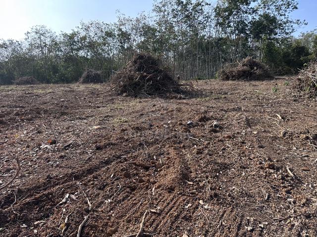1.65 Acre Agricultural Land Ramuan China Besar Alor Gajah Melaka 1