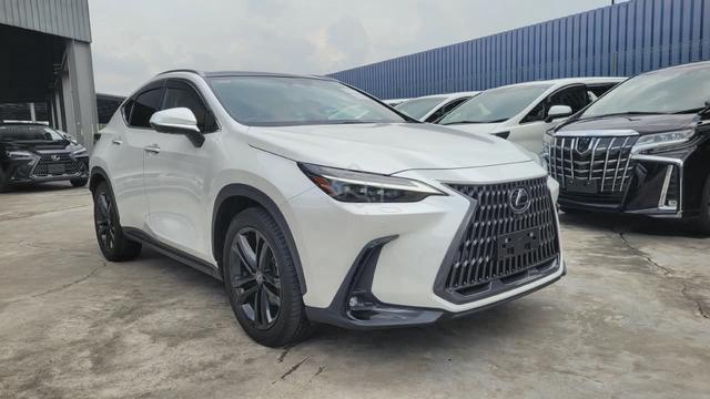 2023 Lexus NX 250 2.5 Version L P/R 4Cam HUD Unreg - 1