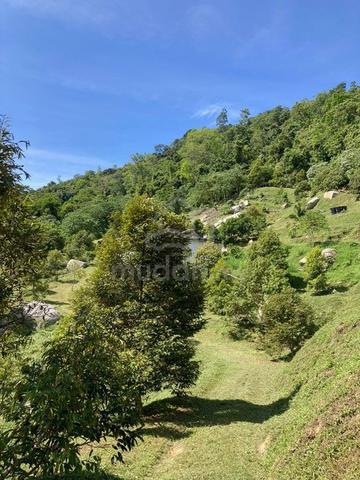 Kebun DURIAN PREMIUM 3.26 EKAR | FREEHOLD | SISTEM PINTAR | HASIL WOW 1