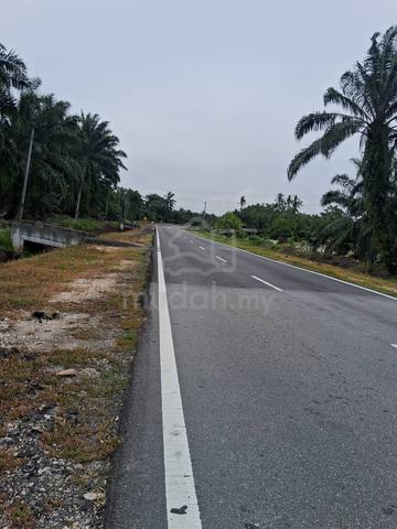 Oil Palm Plantation Land @ Sungai Karang, Pontian, Johor 1