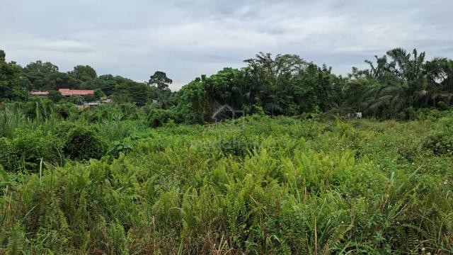 Leasehold Agriculture Land At Kundang, Rawang To Sell 4