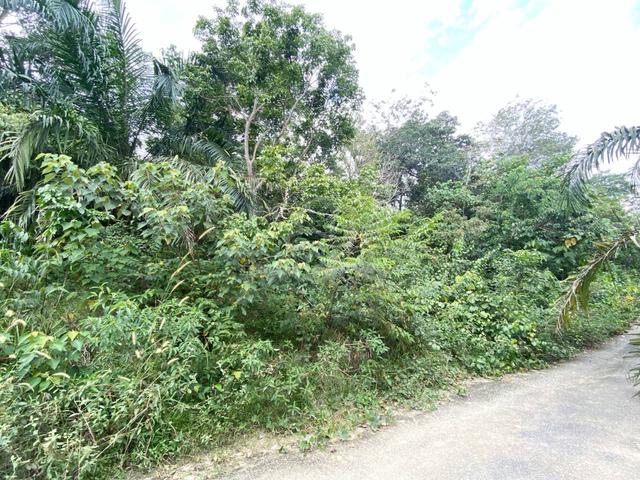 FREEHOLD 3.9 acres Residential Land Desa Vista Sepang 3