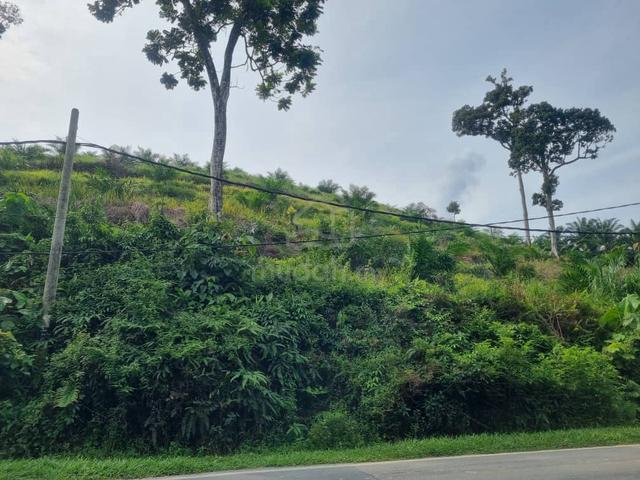 Tanah 28 Ekar di Redang Panjang Kawasan batu Perak untuk dijual 2