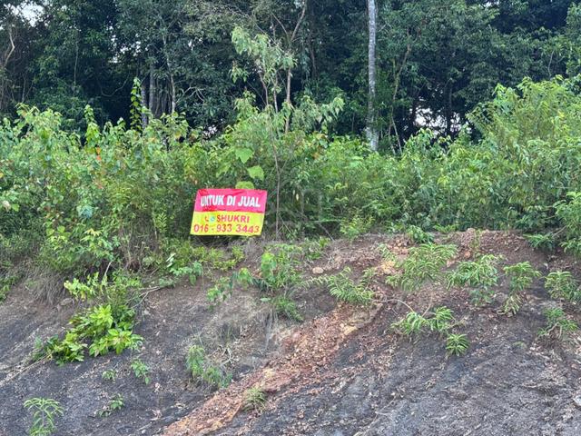 Pahang Maran Agricultural Leasehold Land For Sale 1