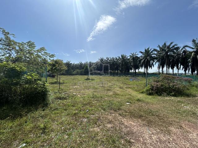 Tanah Untuk Disewa (Berpagar) 1