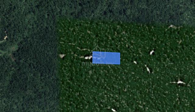 Murah Tanah Pertanian sesuai Dusun Tanjung Ipoh Terachi Kuala Pilah 2