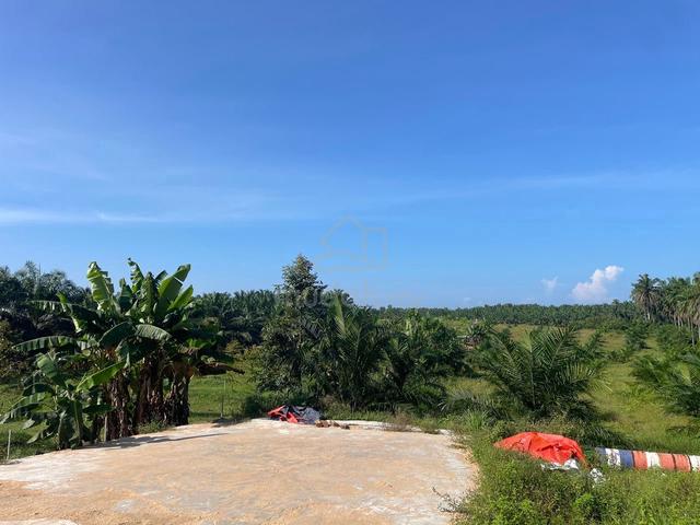 Tanah Pertanian di Sungai Dendang, Selama, Perak 1