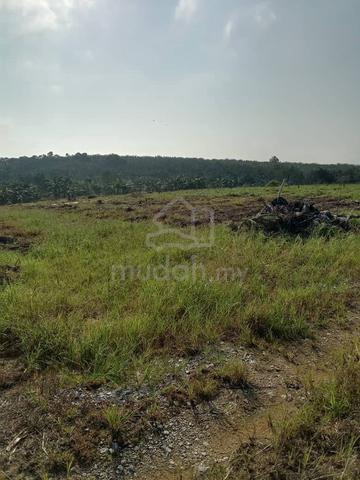 Tanah Pertanian untuk disewa  1