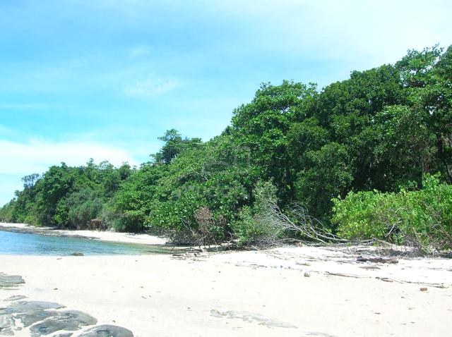 Native Title Seaside Land Kampung Tajau Laut Kudat 4
