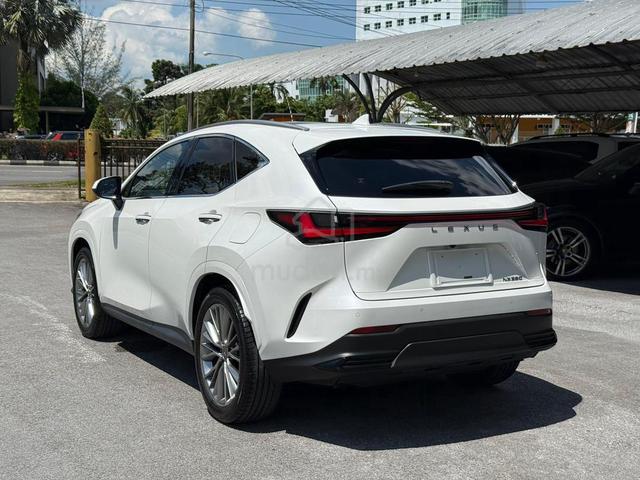 2023 Lexus NX250 Version L 2.5 - 3