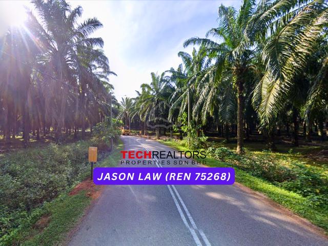 15 Year Oil Palm Land | Sungai Petani Near Bukit Selambau | Rm4.10 PSF 1