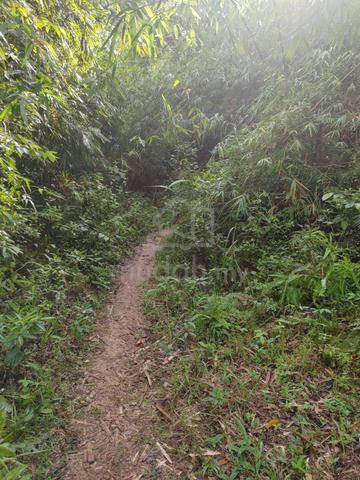 Agriculture land for sale below market value 1