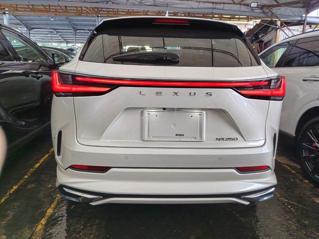 2023 Lexus NX250 LUXURY VL UNREG,SPECIAL KIT,FULL - 4