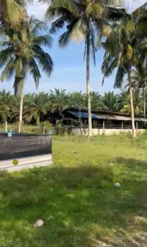 Pahang Sungai Lembing 500 Acre Agrotourism Land 30k per acre 1