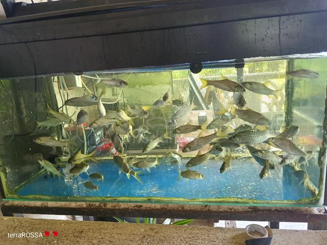 Carousel Image