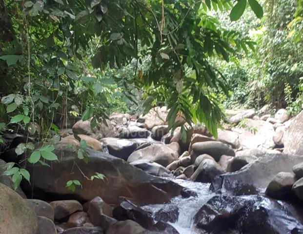 NT For Sales| Ulu Lingan Papar| 12.8acres 1