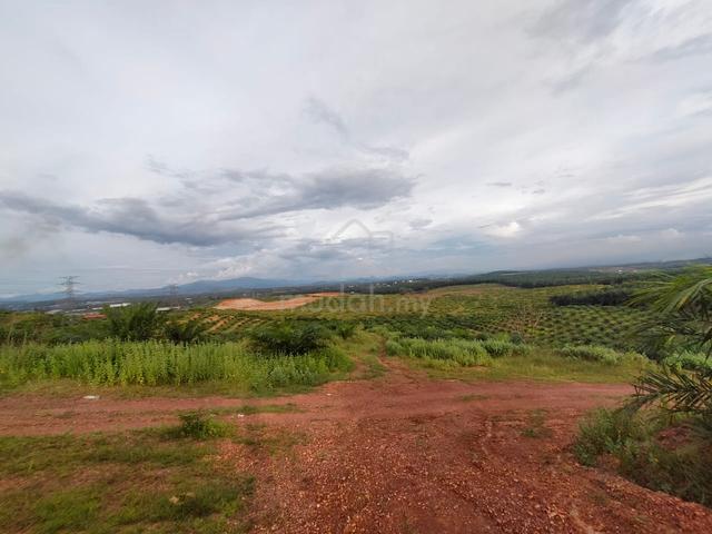 Bukit Selambau Zoning Industry Agriculture Land 115Acres 1