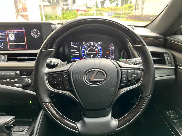 LEXUS ES250 PREMIUM 2.5L (a) FREE WARRANTY - 4