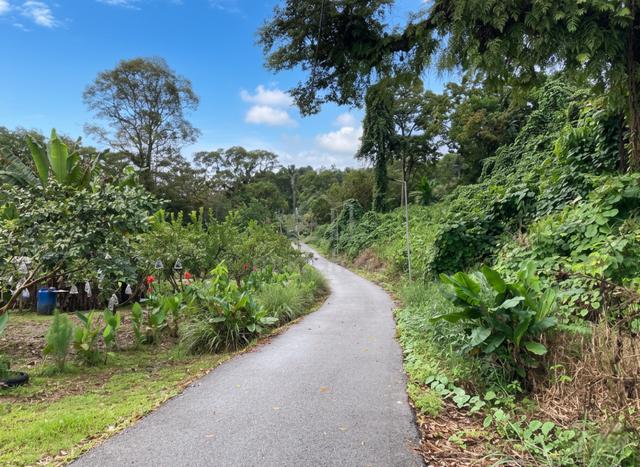 Vacant Land at Jalan Kuching-Bau, Siniawan Bau 1