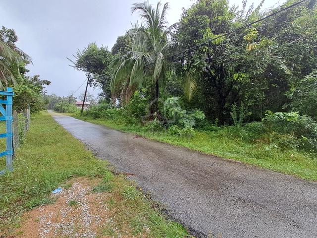 Tanah Tanjung Medang, Pekan, Pahang 1