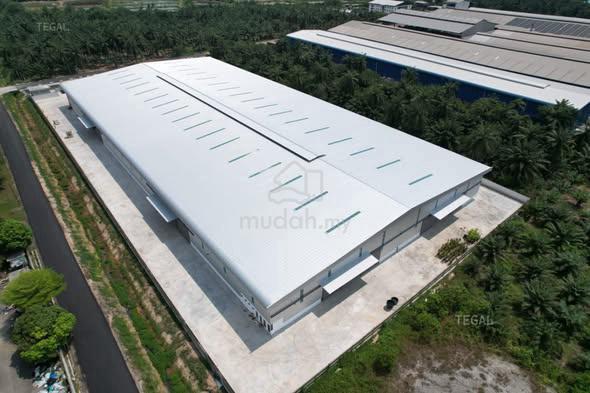 For Sell Telok Mengkuang Telok Panglima Garang Factory Big Size 1