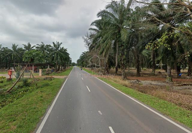 Freehold Main Road Land at Sungai Mati 1