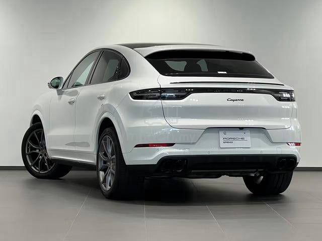 2022 Porsche Cayenne 3.0 Coupe Platinum Edition - 3