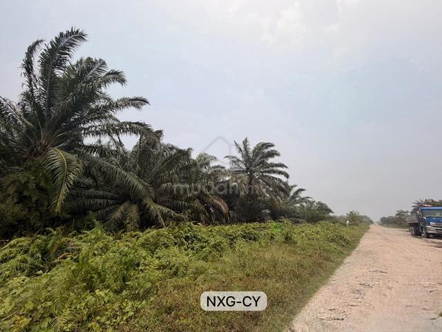 2 ACRES !! ROAD ACCESS !! Johan Setia Near Sijangkang Agriculture Land 1