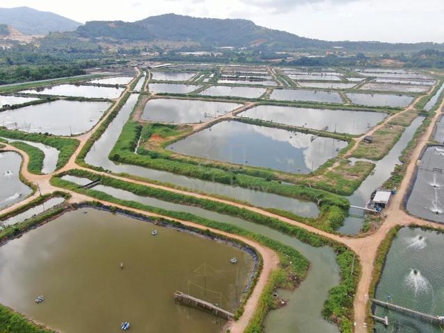 Aquaculture Farm Minyak Beku Batu Pahat 1