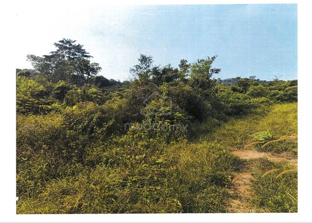 Tanah untuk dipajak di Rembau,Negeri Sembilan 1