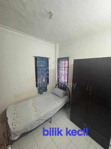 Comfortable room for rent 1