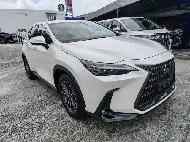 2023 Lexus NX 250 2.5 Standard 360 Camera 4.5B - 2