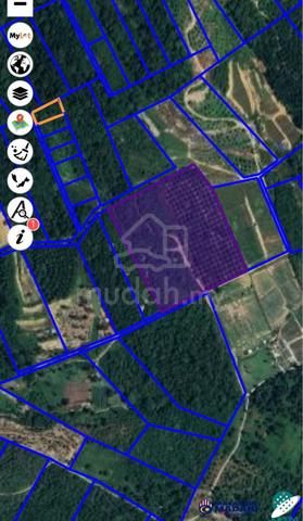 9 ACRE AGRI LAND Jln Sg Lalang Semenyih 1