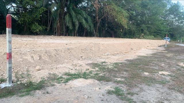 Tanah Untuk Disewakan Segera 1