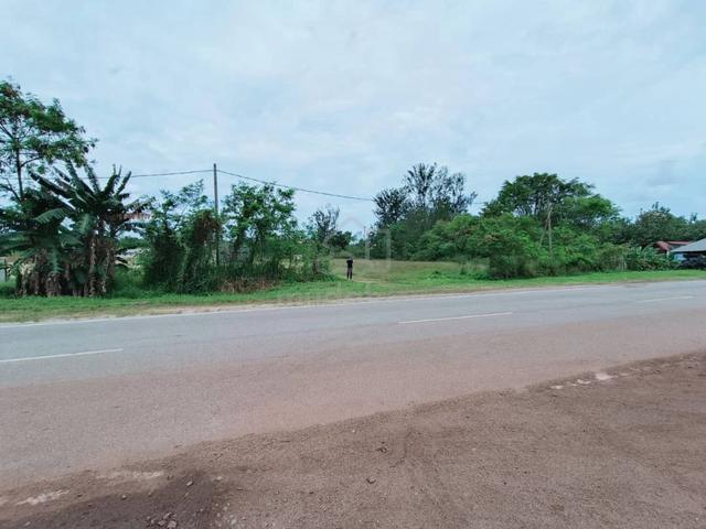 Tanah Pertanian Freehold Tepi Jalan Berdekatan Pelabuhan Kuantan 1