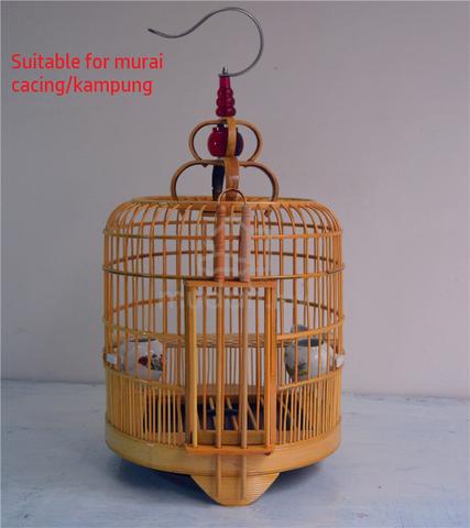Carousel Image