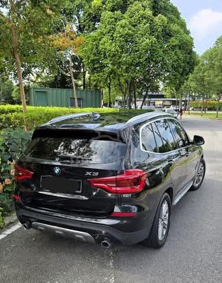 2018 Bmw X3 2.0 xDrive30i (A) - 3