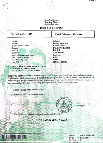 Tanah Bebas Banjir Di Pasir Mas Untuk Dijual 1