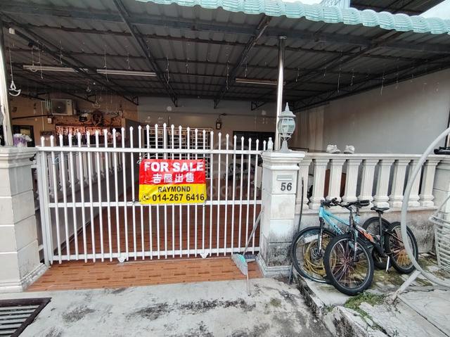single storey 1