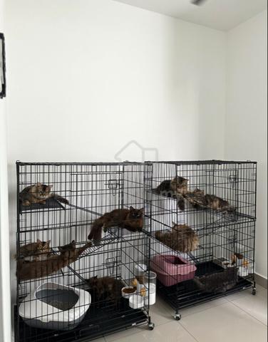 sangkar kucing - photo 2 of 2