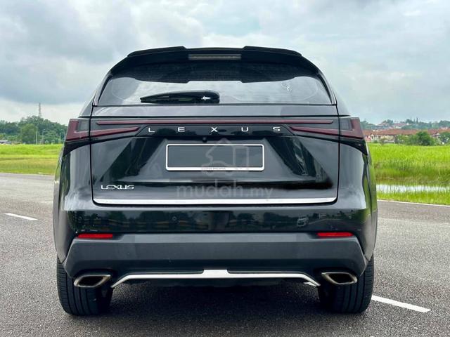 2020 Lexus NX300 2.0 F SPORT (A) - 5
