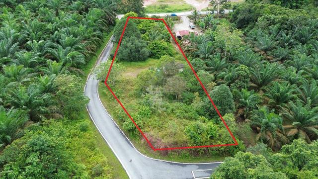 TANAH DUSUN : KG DESA HARAPAN BUKIT BATU KULAI / SEDENAK - 0.6 ekar 1