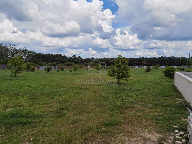 Bedong Durian Land For Sale 4